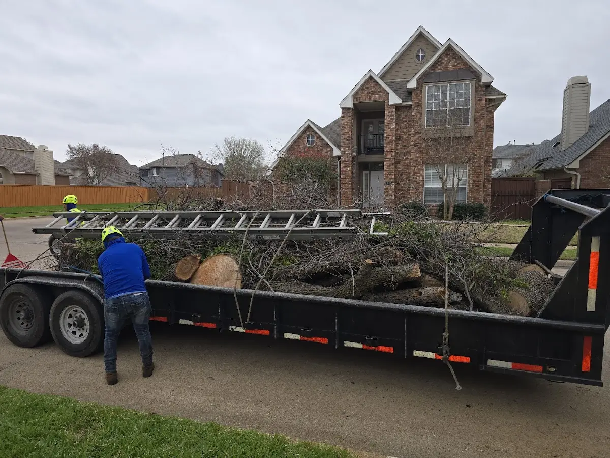 Expert Tree Fertilization with proper safety equipment in Clay Center